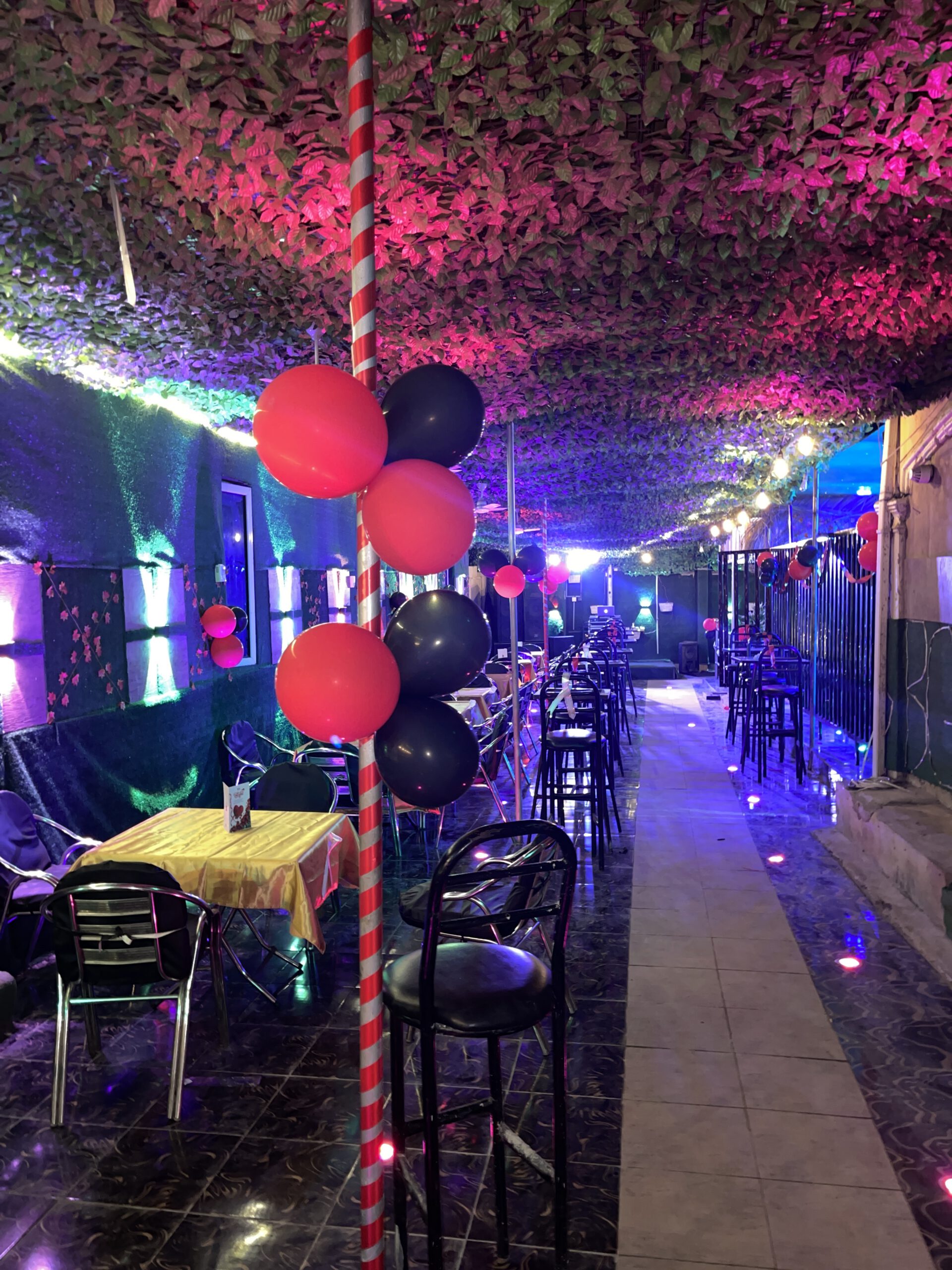 Entertainment and Social Events